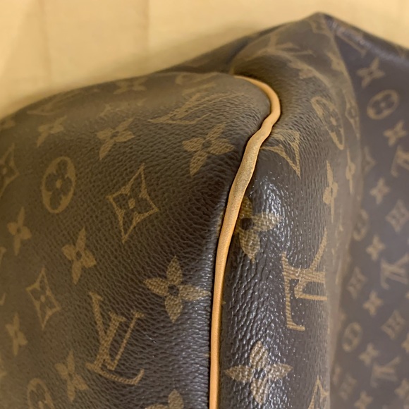 ✨ Louis Vuitton Delightful MM Handbag✨ - Picture 9 of 16